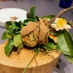 プレゼンテ スギ - ⑥国鳥を串刺しに ワイルドだろ～う