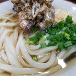 讃岐うどん河野 - うどん・表情。