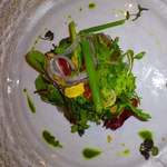 アジュール - 桜鯛の炙りサラダ仕立て