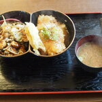 Tatsu Ya - 醤油カツ丼と鶏ちゃんの二色丼