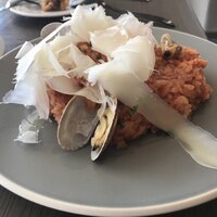 COLONIAL BEACH 横浜ハンマーヘッド - 