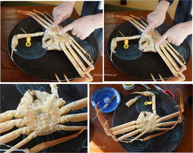 1 2kgサイズ 指折れ を食す 蟹かに亭流儀の捌き方と料理方法 赤ガレイの煮付けと塩辛サービス 刺身盛り合わせも注文 最上ランク 五輝星 松葉ガニ と 極 の違い 美味しいズワイガニの品種 他 By Ken1tnk1958 蟹かに亭 かにかにてい 越前町その他 かに 1 2kgサイズ 指折れ を食す 蟹かに亭流儀の捌き方と料理方法 赤ガレイの煮付けと塩辛サービス 刺身盛り合わせも注文 最上ランク 五輝星 松葉ガニ と 極 の違い 美味しいズワイガニの品種 他 By Ken1tnk1958 蟹かに亭 かにかにてい 越前町その他 かに