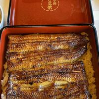 鰻割烹 伊豆栄 本店 - 