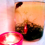 and people udagawa - 