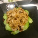 めだかタンタン - DAY-11