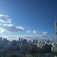 ウルフギャング・パック カフェ 愛知芸術文化センター店 - 11階からテレビ塔方面