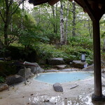 小梨の湯 笹屋 - 緑の中に、ミルキーブルーの湯が掛け流しで注がれる… これぞ白骨温泉です！