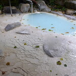 小梨の湯 笹屋 - カルシウム分が固着し、石床に独特の文様が現れる。地名とあいまって、どこか骨のように見える