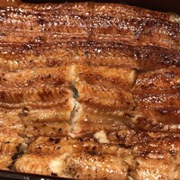 うなぎ 目白ぞろ芽 - 身に脂が詰まっています！