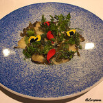 カーサ・デル・チーボ - Carpaccio di Orecchia Marina