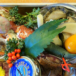 ドディチ・マッジョ - 