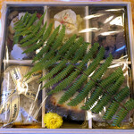 ドディチ・マッジョ - 