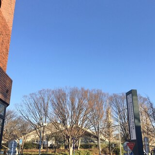 KOMAZAWA PARK CAFE - View of Komazawa Olympic Park