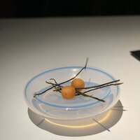 ブレストンコート ユカワタン - 