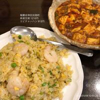 梅蘭 御茶ノ水ワテラス店 - 麻婆豆腐 1210円
                    エビチャーハン 913円