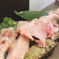 カミノザ - 