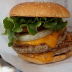 FRESHNESS BURGER - 