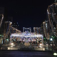 割烹 柊 - イルミネーション