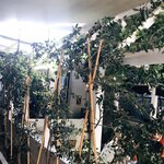 ブランチキッチン - 