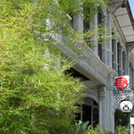 GEORGETOWN SAKE BAR - 竹と提灯のお出迎え