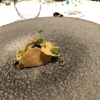 ジョンティ アッシュ - 