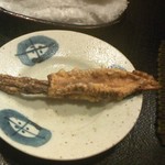 まにわ - わた入りイカの丸干し