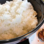 Hamburugu - 大盛りご飯