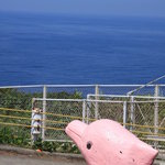 美美庵 - ピンクのイルカが目印。