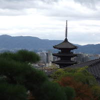 京大和 - 