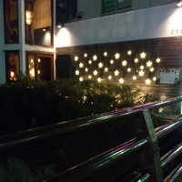 coci - 