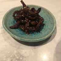 CINA New Modern Chinese - 