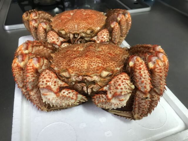 根室海鮮市場カネカイチ鈴木商店 - 根室（その他）の写真