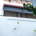 Hotel Penaga - あら、ワンちゃん！！