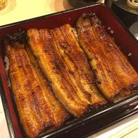 うなぎ割烹 白金台 まつ本 - 国産うな重 特上（5900円）税込【令和2年1月03日撮影】