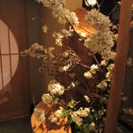 恵比寿　くろいわ - 桜に迎えられました。