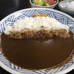 辛口カレーミヤジマ - カレー