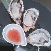 COLONIAL BEACH 横浜ハンマーヘッド - 