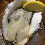 ビストロ ティアボ - 