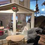 スタジオカフェ ズーアドベンチャー - 