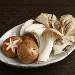 各種蘑菇