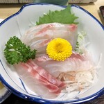 動坂食堂 - こっちはマダイです。