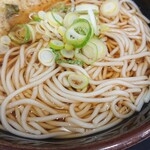 Soba Dokoro Kogin - 蕎麦の表情。とにかく柔らかい。そして汁は動物や魚介の薫りはほぼない。