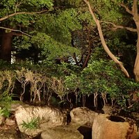 天婦羅 若竹 - 