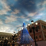 The Venetian Macao - 