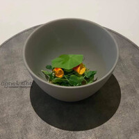 アニエルドール - 