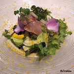 カーサ・デル・チーボ - 真鯖と秋茄子と茴香のｲﾝｻﾗｰﾀ