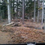 レイ コーヒーハウス - 