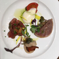 ダルマット 六本木ヒルズ店 - 