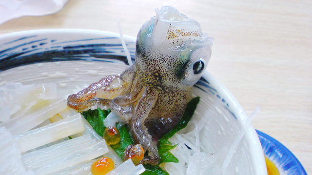イカの視線が気になる驚きの海鮮丼 By Waraton 一花亭たびじ いっかてい 函館 魚介料理 海鮮料理 食べログ