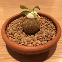 マンサルヴァ - 